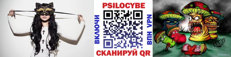 Галлюциногенные грибы Psilocybe  Сортавала 